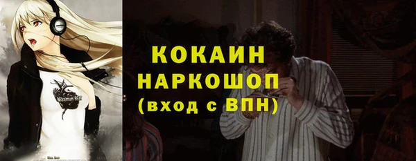 дживик Абаза