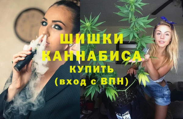 дживик Абаза