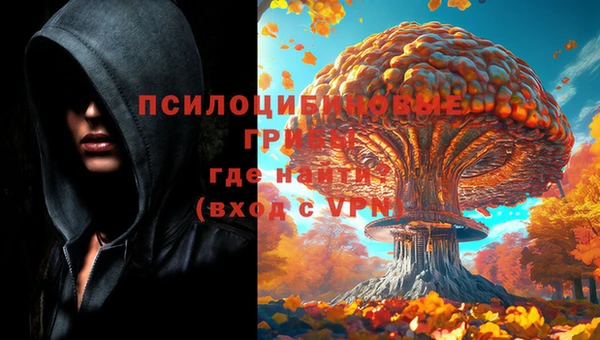 шишки Надым