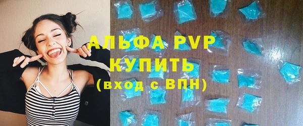 шишки Надым