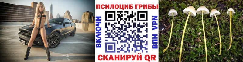 как найти наркотики  Южноуральск  площадка телеграм  Галлюциногенные грибы Cubensis 