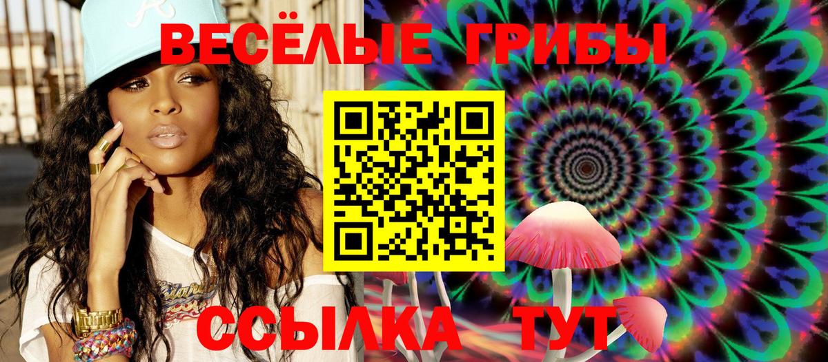 Галлюциногенные грибы Psilocybine cubensis Южноуральск